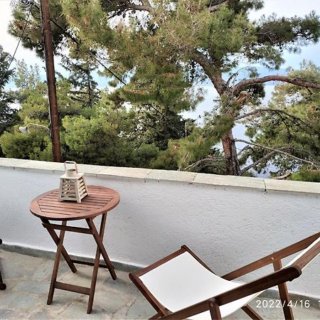 Pine Trees And Sea View Houses In Hydra - Daphne, Chloe, Myrto, Eleni Номер фото