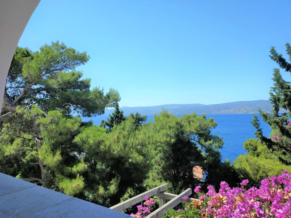 Pine Trees And Sea View Houses In Hydra - Daphne, Chloe, Myrto, Eleni Екстер'єр фото