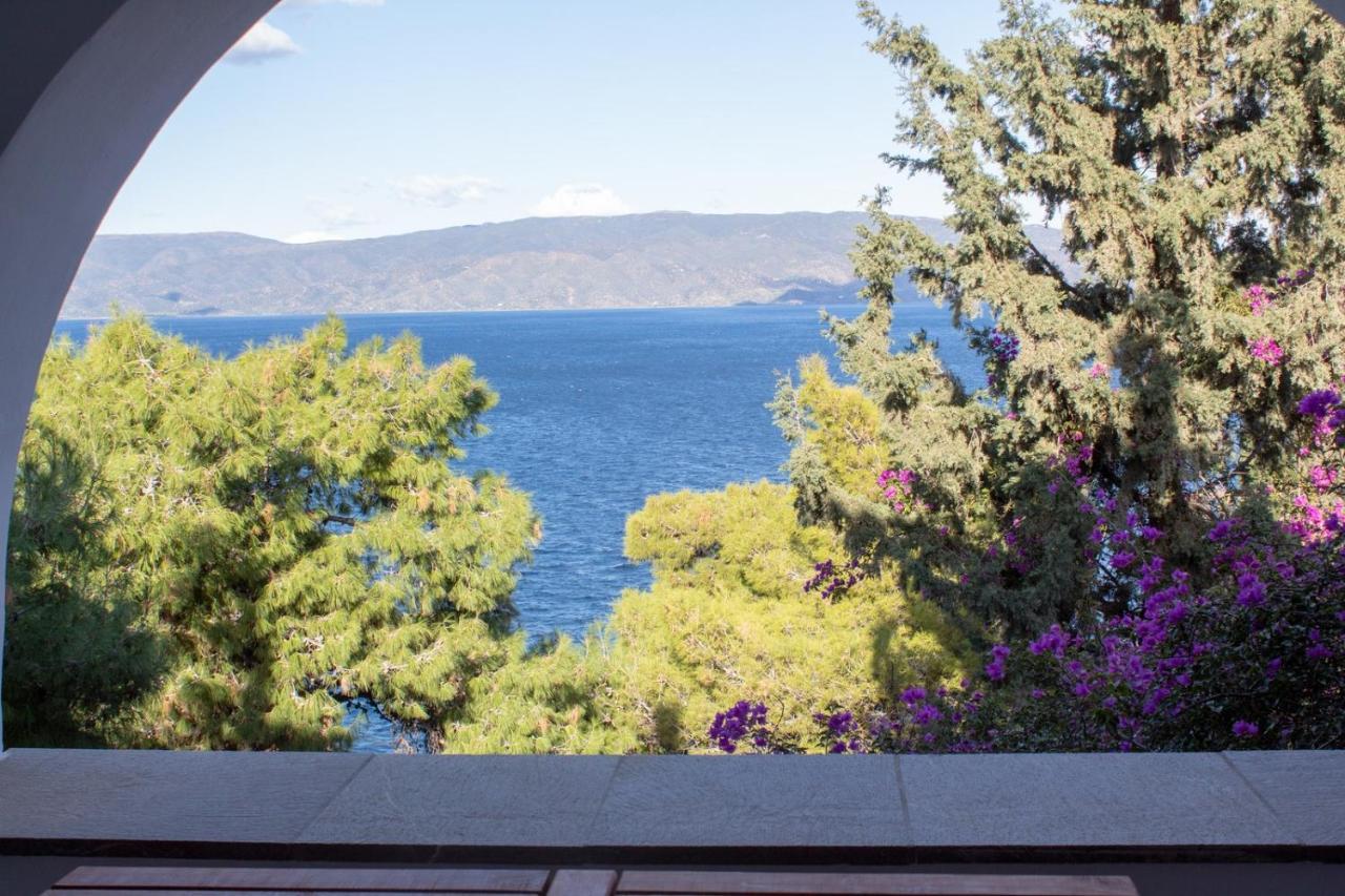 Pine Trees And Sea View Houses In Hydra - Daphne, Chloe, Myrto, Eleni Екстер'єр фото