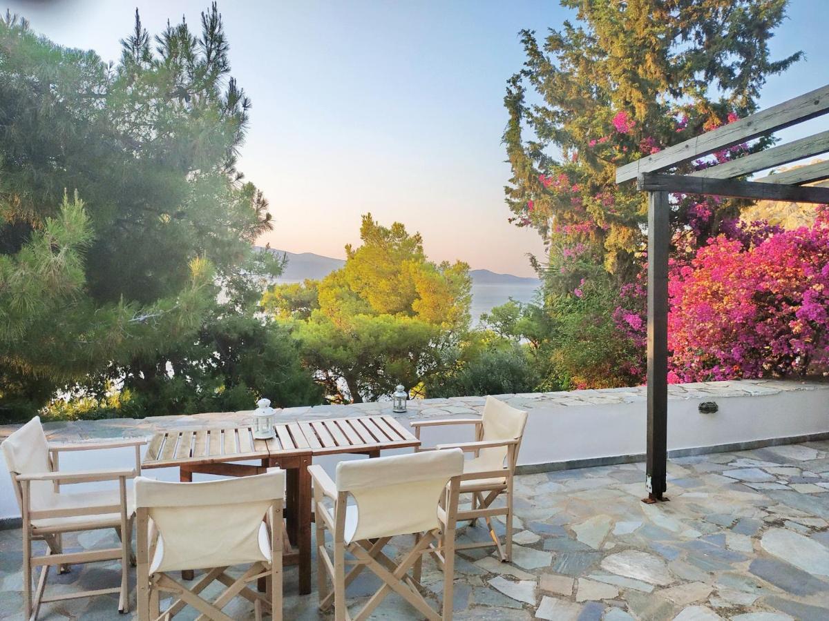 Pine Trees And Sea View Houses In Hydra - Daphne, Chloe, Myrto, Eleni Екстер'єр фото