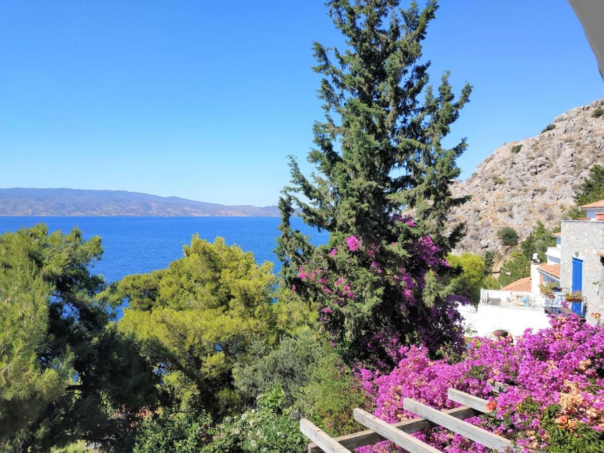 Pine Trees And Sea View Houses In Hydra - Daphne, Chloe, Myrto, Eleni Екстер'єр фото