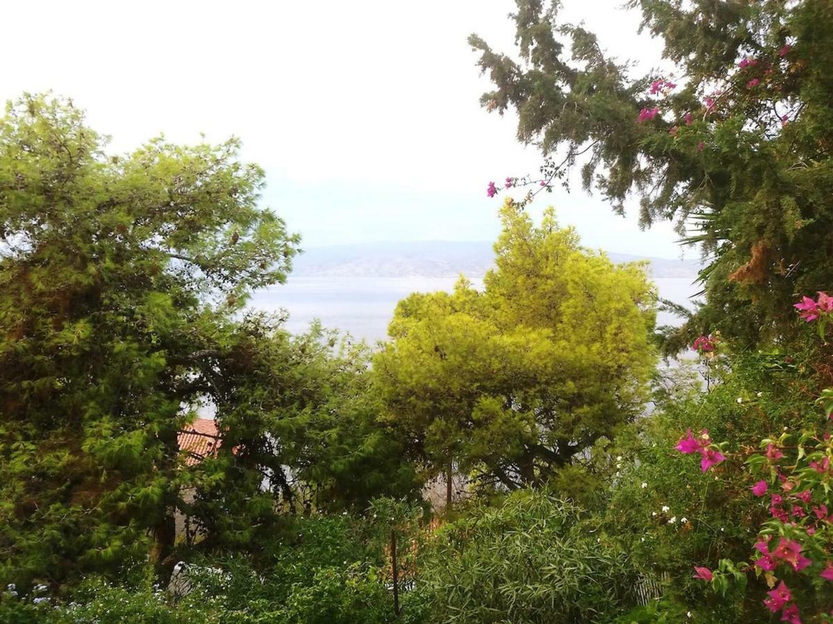 Pine Trees And Sea View Houses In Hydra - Daphne, Chloe, Myrto, Eleni Екстер'єр фото