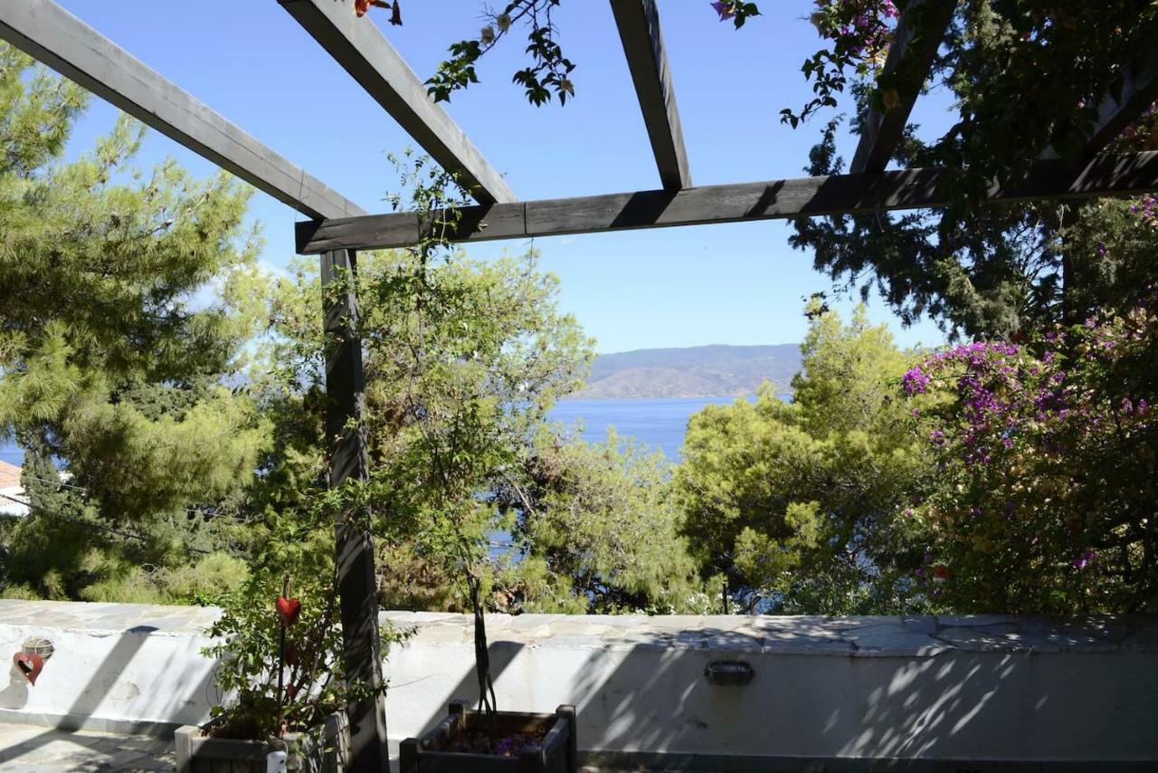 Pine Trees And Sea View Houses In Hydra - Daphne, Chloe, Myrto, Eleni Екстер'єр фото
