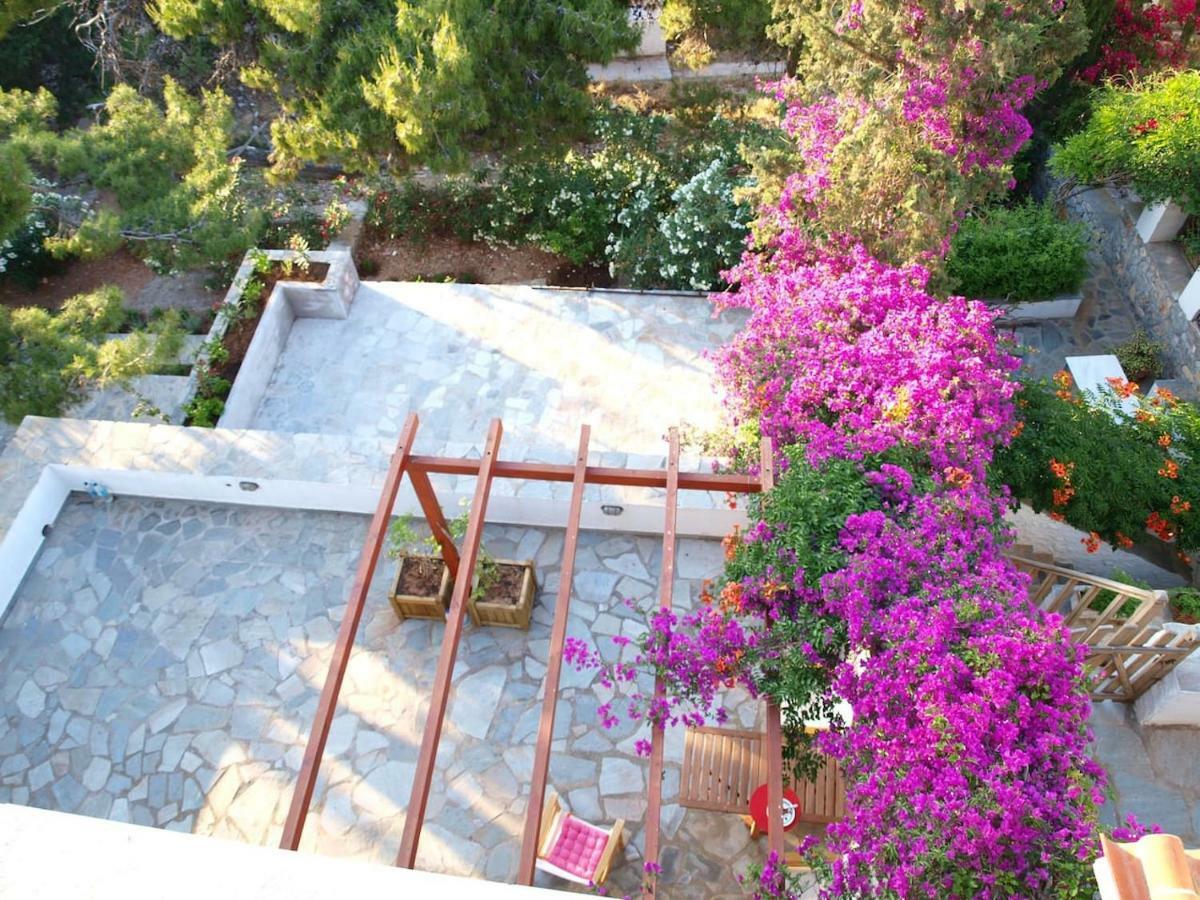 Pine Trees And Sea View Houses In Hydra - Daphne, Chloe, Myrto, Eleni Екстер'єр фото